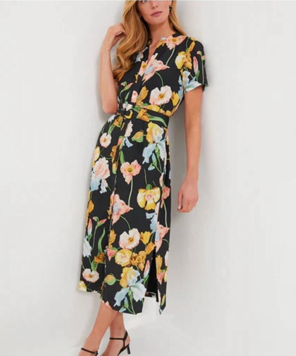 Tuckernuck Moonlit Iris Camille Dress 3XL Floral Button Front Midi *No belt